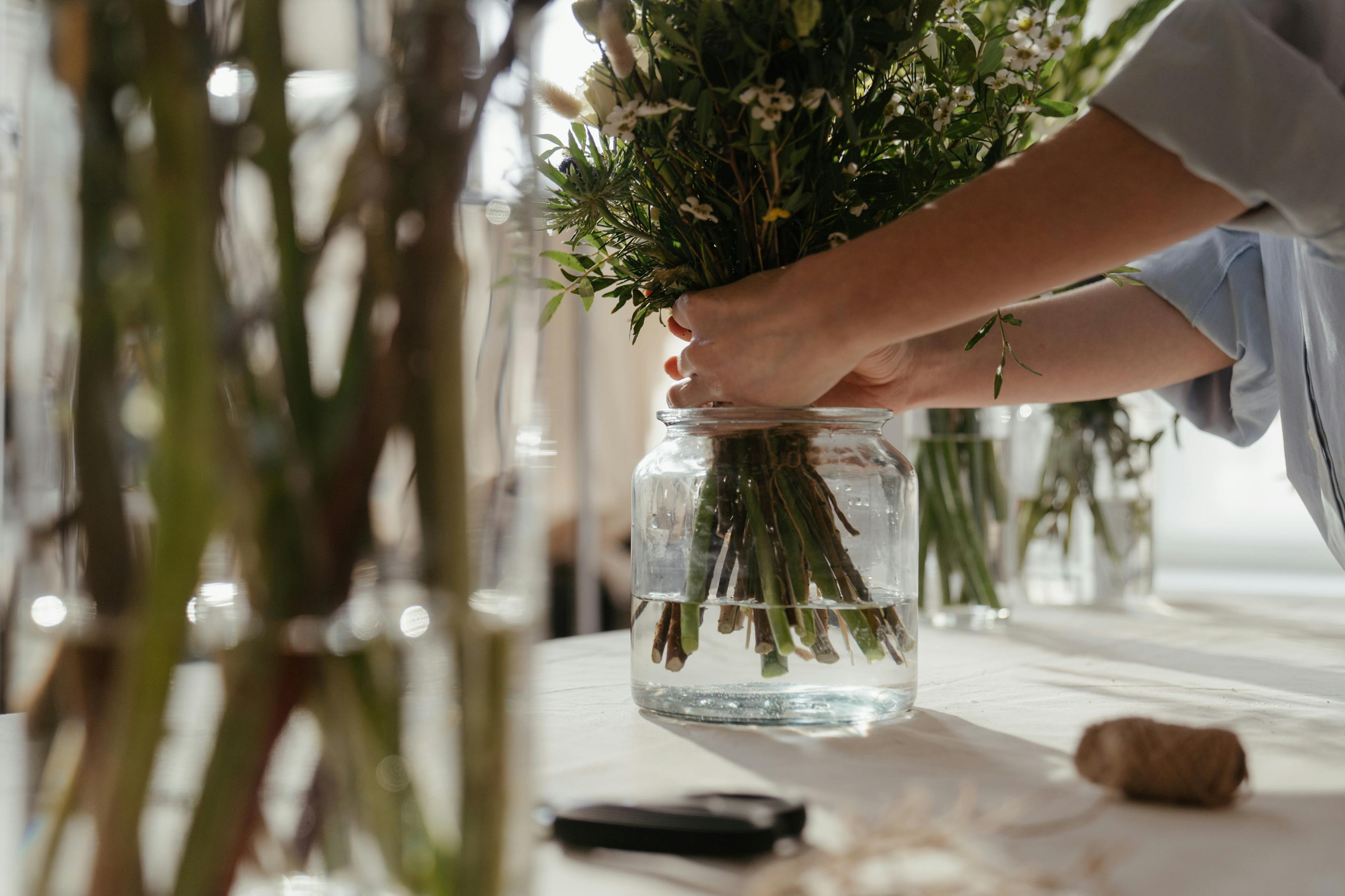 Indoor Gardening 101